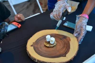 DSC_7680 (Large).JPG